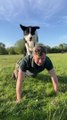 Man Does Pushups With Dog Sitting on His Back