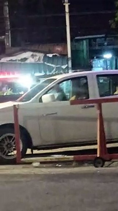 Dog Honks Truck Horn to Get Owners Attention