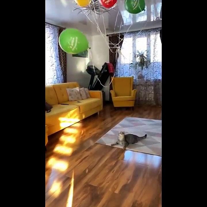 You Definitely Laugh, Trust me