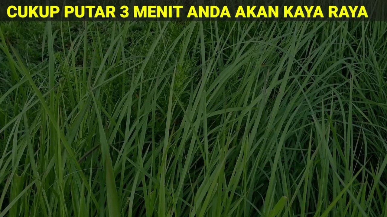 Baca Saat Kamu Kepepet, Baca 1x Kamu Akan Bergelimang Uang dan Harta