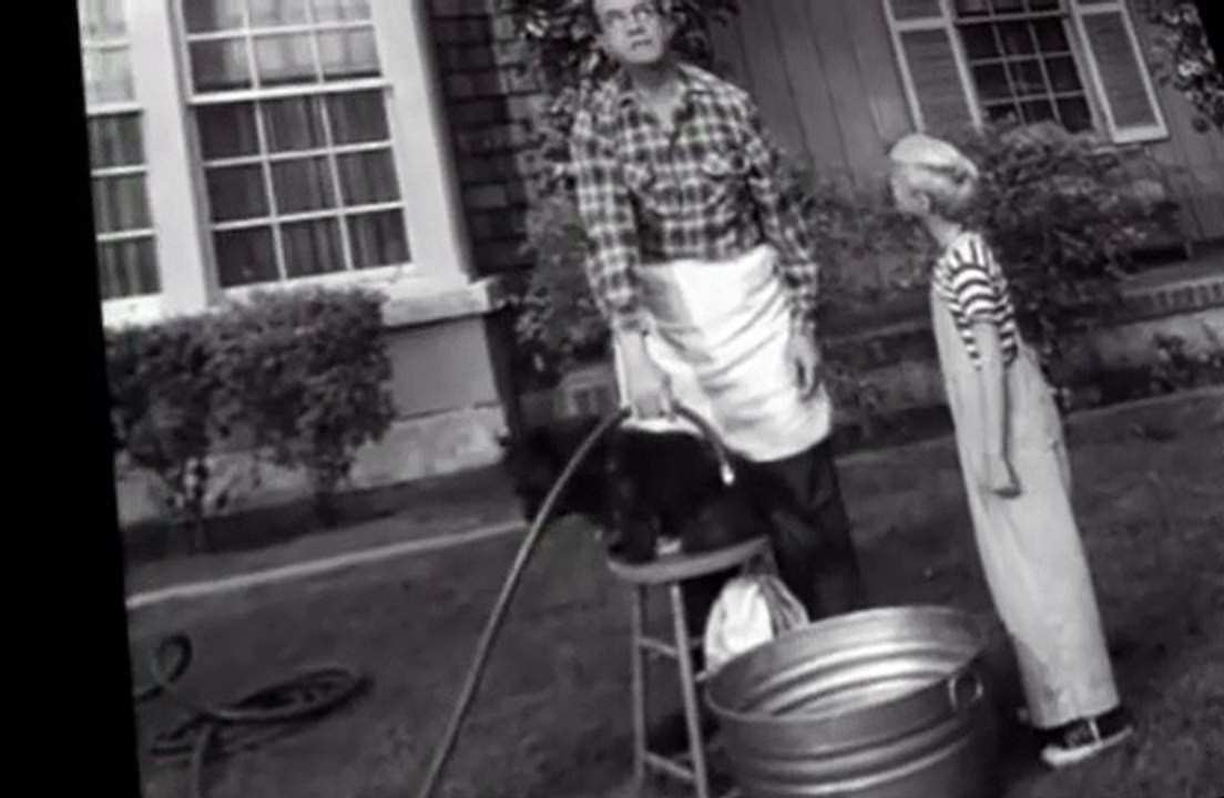 Dennis the Menace S01 E32