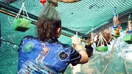 Voting underway for Australian mammal of the year