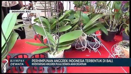 Anggrek Kembali Digaungkan Di Pulau Dewata