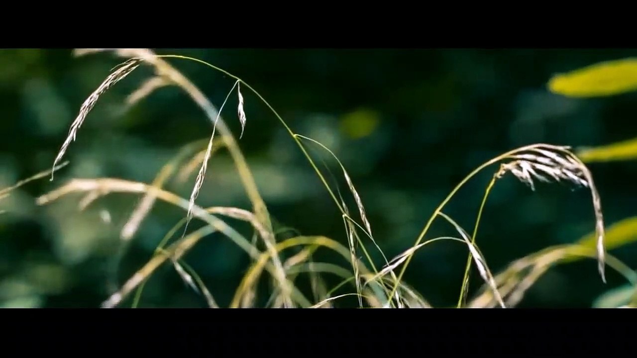 خالد الراشد - ذكر الموت حياة و نسيانه غفلة - أروع موعظة على اليوتيوب HD