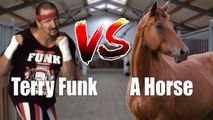 That time TERRY FUNK got KICKED by a HORSE during a WCW Match