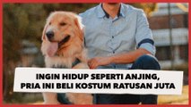 Ingin Hidup seperti Anjing, Pria Jepang Ini Beli Kostum Ratusan Juta Demi Mimpinya