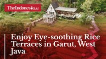 Enjoy Eye-soothing Rice Terraces in Garut, West Java
