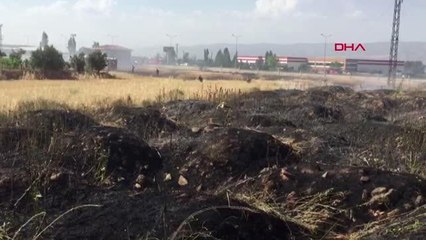 MANİSA'DA BUĞDAY TARLASI VE ÜZÜM ASMALARI YANDI