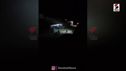 સંગાવાળા ગામે બે સિંહો આવતા લોકોમાં ફફડાટ