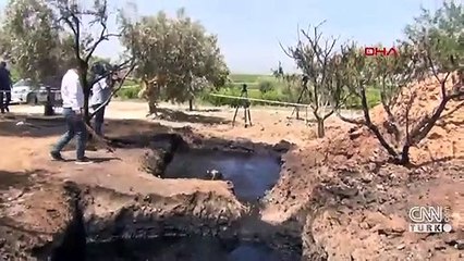 Zeytin tarlasında petrol bulundu!