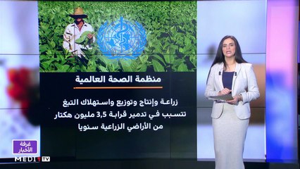 مساء الأخبار - المسائية 23:00 - 31/05/2022