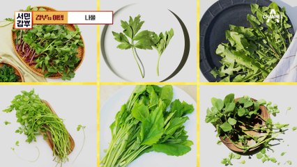 온라인 판매 트렌드를 앞서다( •̀ω •́)✧ 데친 제철 나물 판매로 연 매출 60억!
