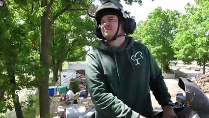 Засуха в Берлине угрожает столичной флоре