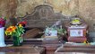 Lo scandalo del cimitero di Palermo, anche gli uffici ospitano le bare insepolte