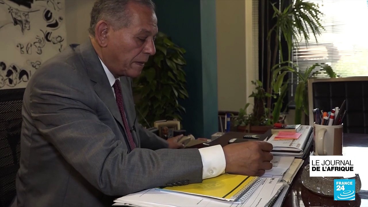 Égypte : Alaa Abdel Fataah, figure de la révolution égyptienne, en grève de la faim