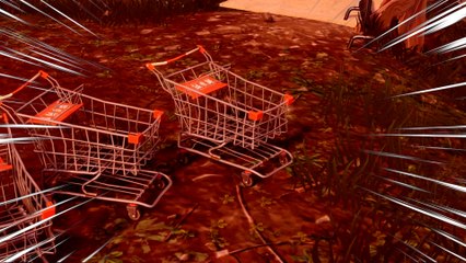 The Revenge of the Shopping Carts