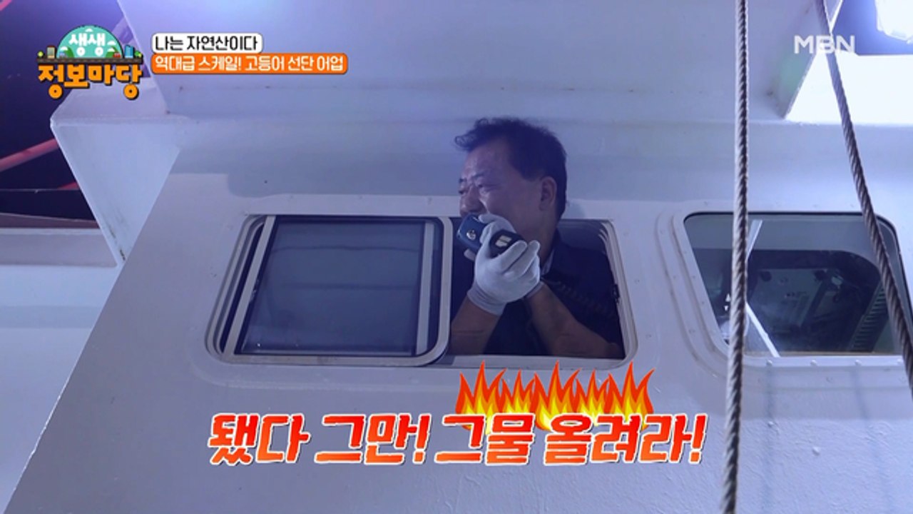 우리 밥상 대표 음식 고등어를 잡기 위한 선장님의 일상 브이로그..?