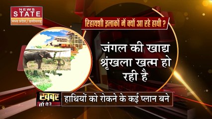 Chhattisagarh News : Chhattisagarh में प्रवासी हाथियों का आतंक | Elephant Terror |