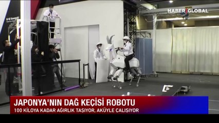 İşçi sıkıntısına çözüm olacak keçi robot üretildi!