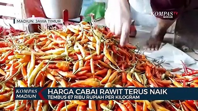 Harga Cabai Rawit Terus Naik, Tembus 67 Ribu Rupiah Per Kilogram