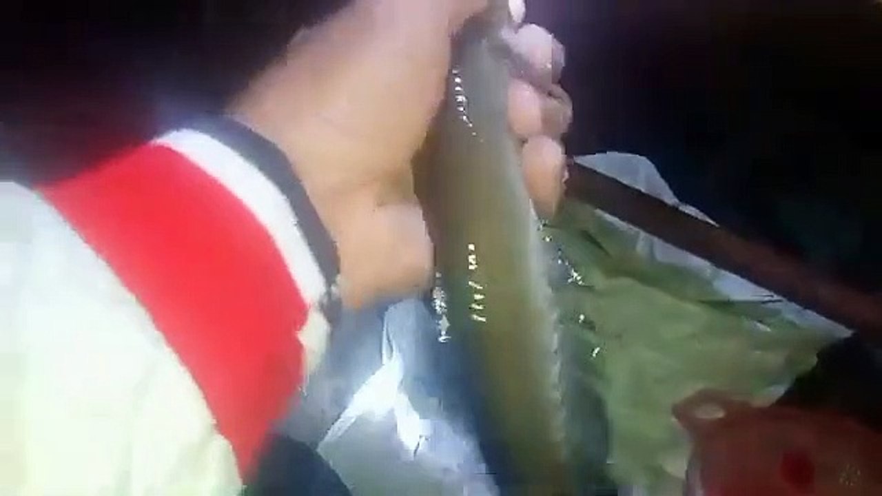 Rawai ikan