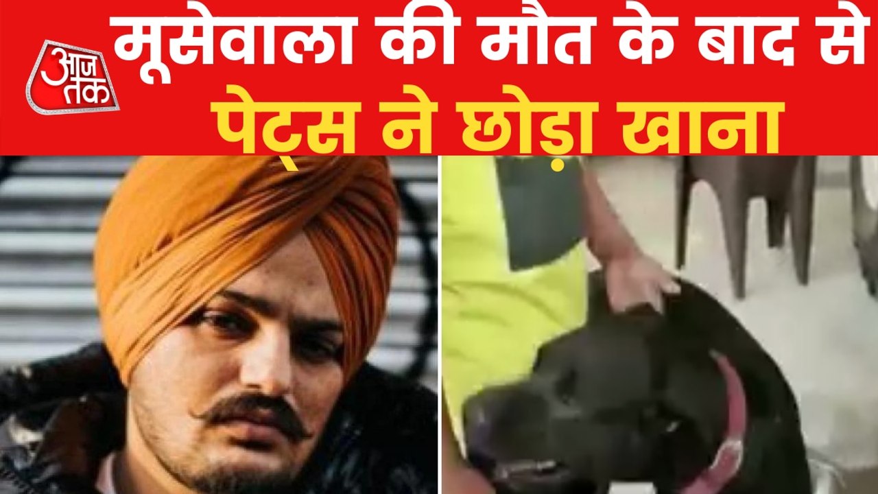 Punjabi Singer Sidhu Moose Wala pets refuse food