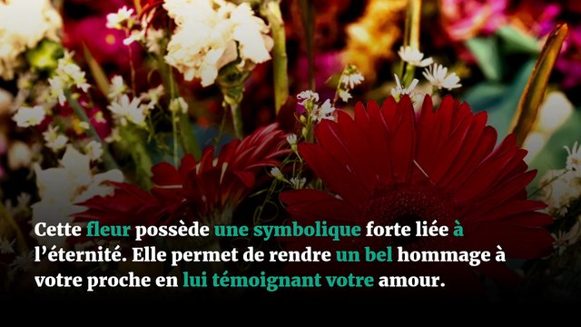 Enterrement : quelles fleurs choisir ?