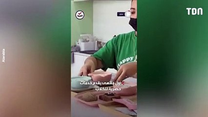 Un premier café pour chiens à Dubaï