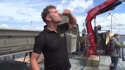 Récolte des premières moules de cordes