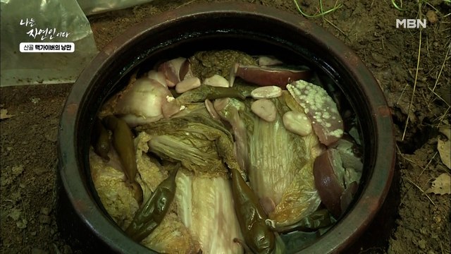 더운 여름엔 속 뻥 뚫리는 동치미지~! 자연인 표 유기농 동치미