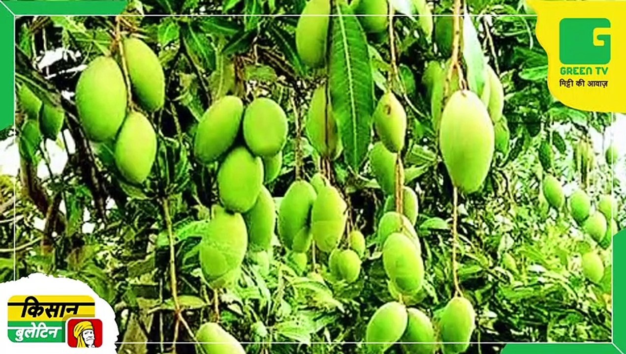 Kisan Bulletin - किसानों के लिए बड़ा फैसला, शुरू की एकमुश्त समाधान योजना | Yogi Government | Agriculture News