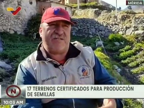 Agricultores merideños cultivan semillas de papa y otros rubros para impulsar la producción local