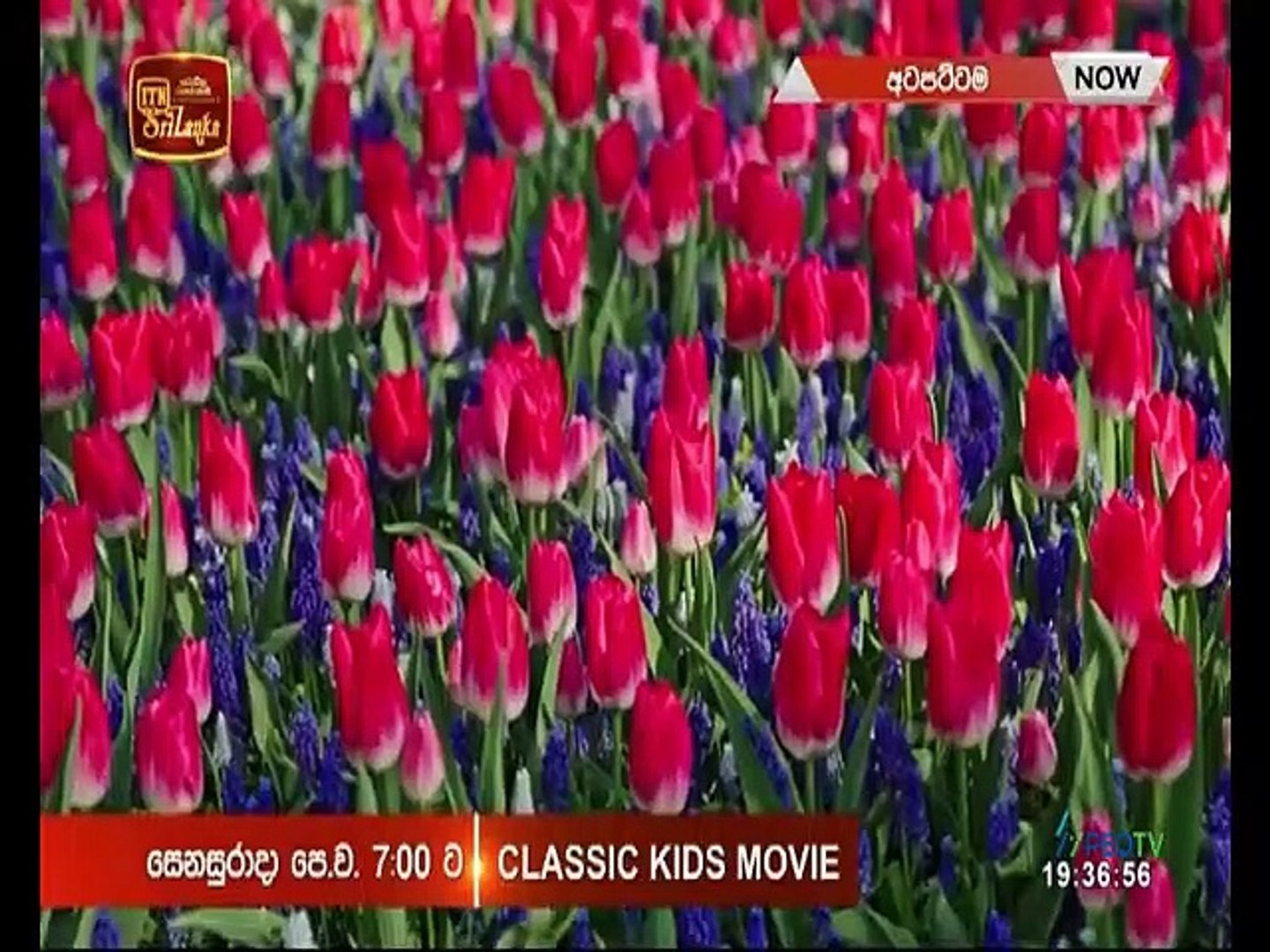 Atapattama 2022.06.01