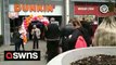Dunkin donut shop attracts huge queues for new Bradford opening