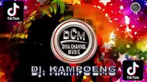 DISCO REMIX POK AME AME BELALANG KUPU KUPU
