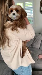 Precious Pupper Wants to Be Mummy's Baby