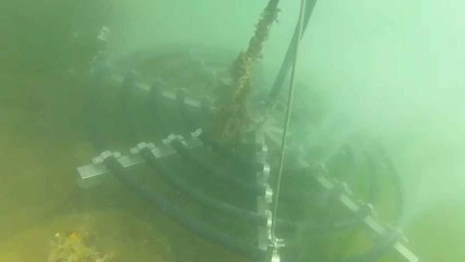 El sistema de tuberías microperforadas que se ha habilitado en el Club Náutico de Las Isletas para oxigenar el Mar Menor.