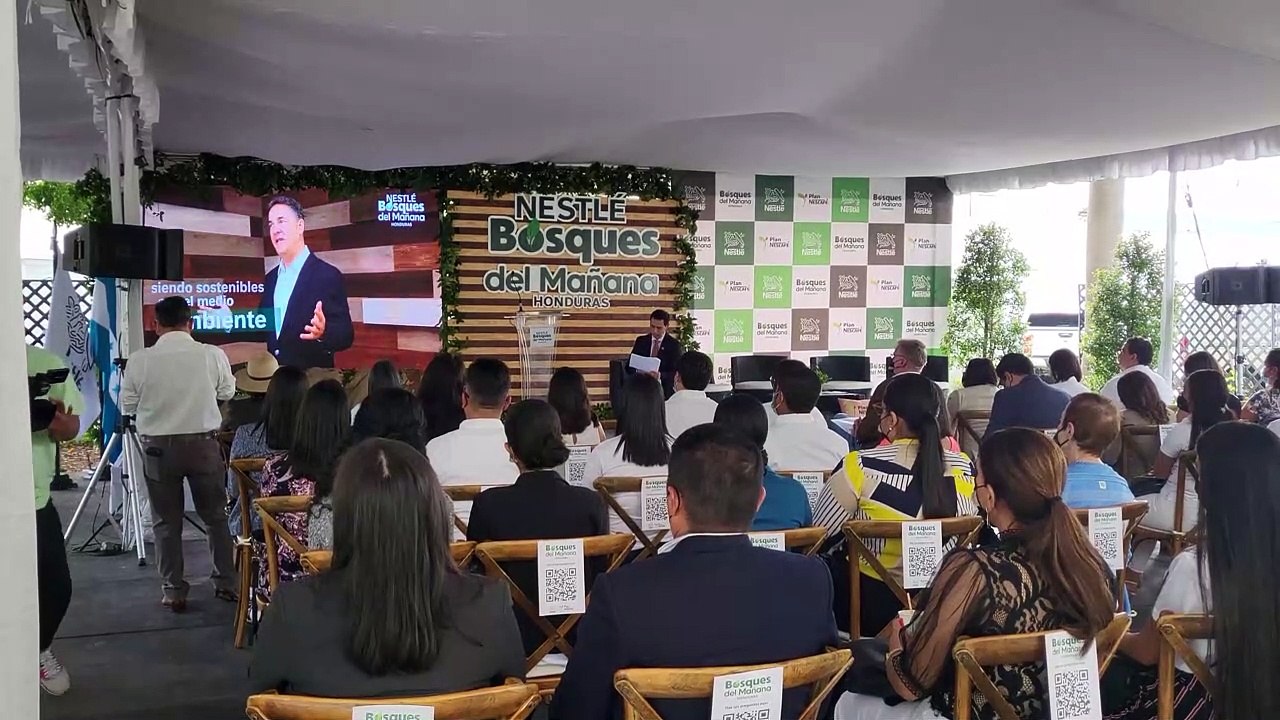 Bosques del mañana