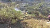 Ödemiş'te tarım arazisinde başlayan yangın zeytin ağaçlarına zarar verdi