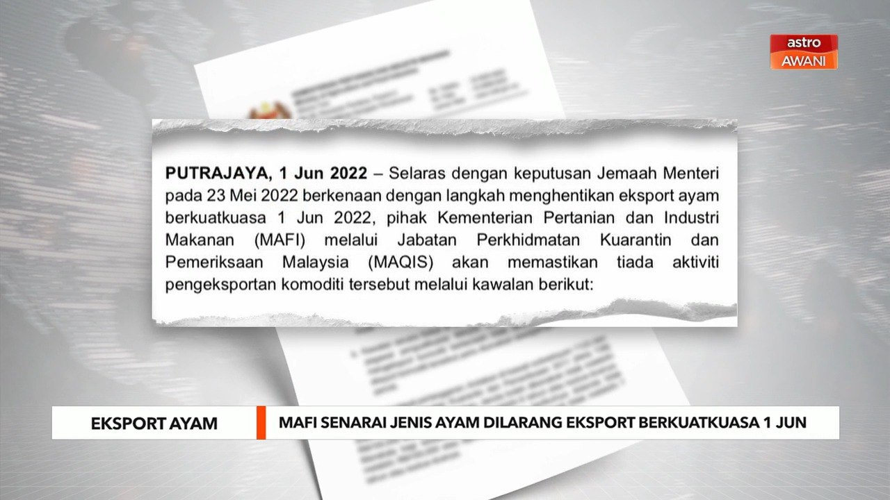 Eksport Ayam | MAFI senarai jenis ayam dilarang eksport berkuatkuasa 1 Jun