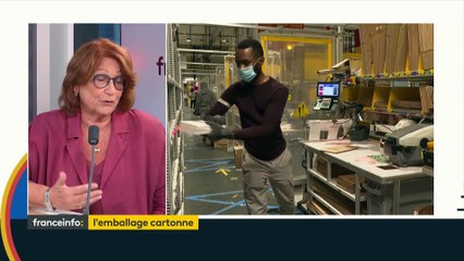 Emballage : Daniele Kapel-Marcovici, PDG du groupe Raja, « bascule » du plastique vers le carton