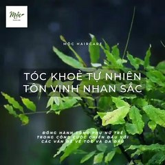 Mộc Haircare - Chăm sóc tóc thiên nhiên cùng bạn