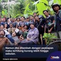 Akhirnya, Ratusan Warga Lokasi Syuting Film KKN di Desa Penari Bisa Nonton Bareng