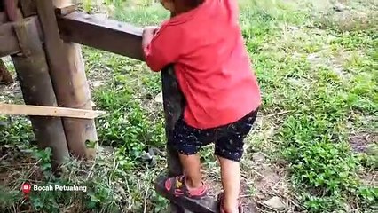 Asiknya liatin Si BOCIL ngasih makan kambing