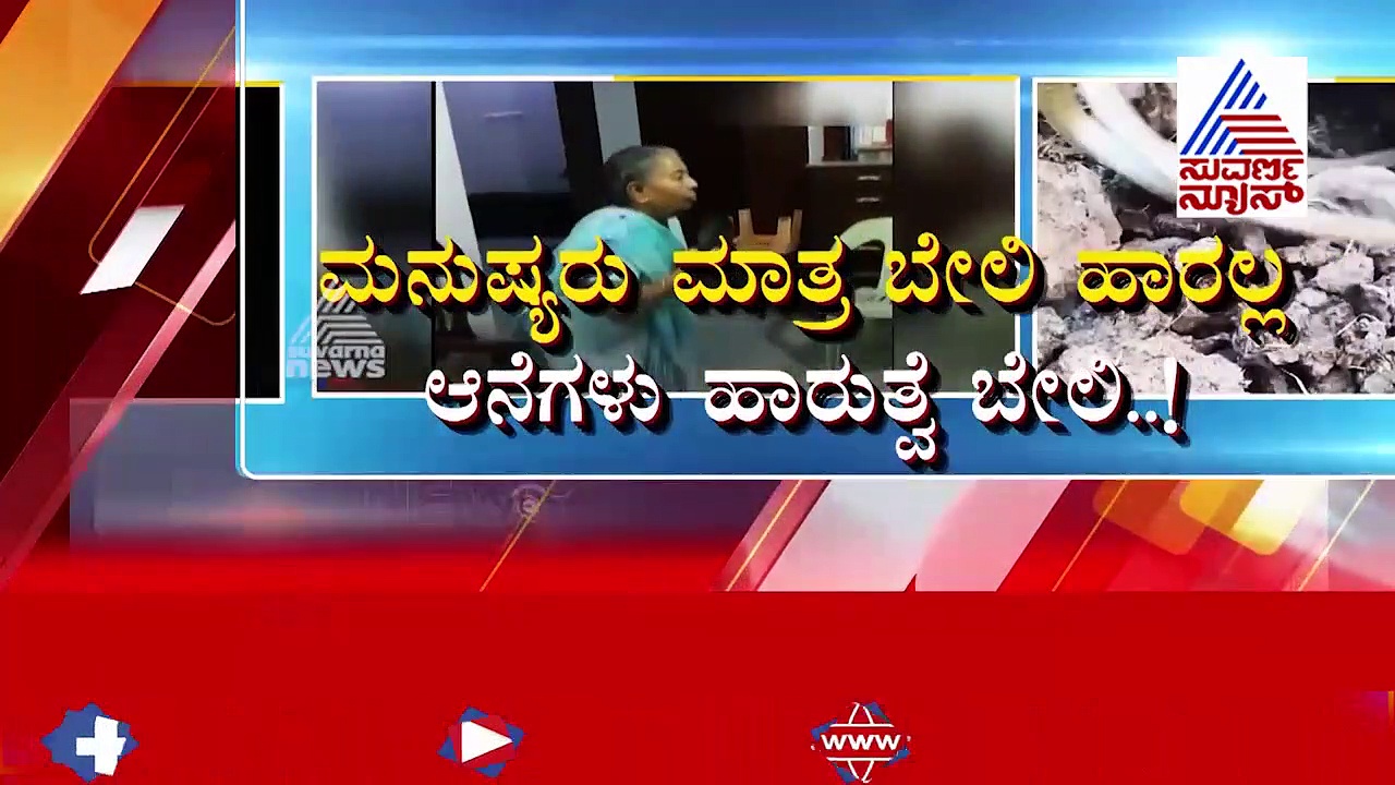 ಯುವಕರನ್ನೇ ನಾಚಿಸುವಂತಿದೆ  82 ರ ಅಜ್ಜಿಯ ವರ್ಕೌಟ್, ಭಲೇ ಅಜ್ಜಿ..!