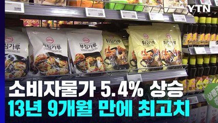 물가, 14년 만에 5% 넘었다..."6%까지 오를 듯" / YTN