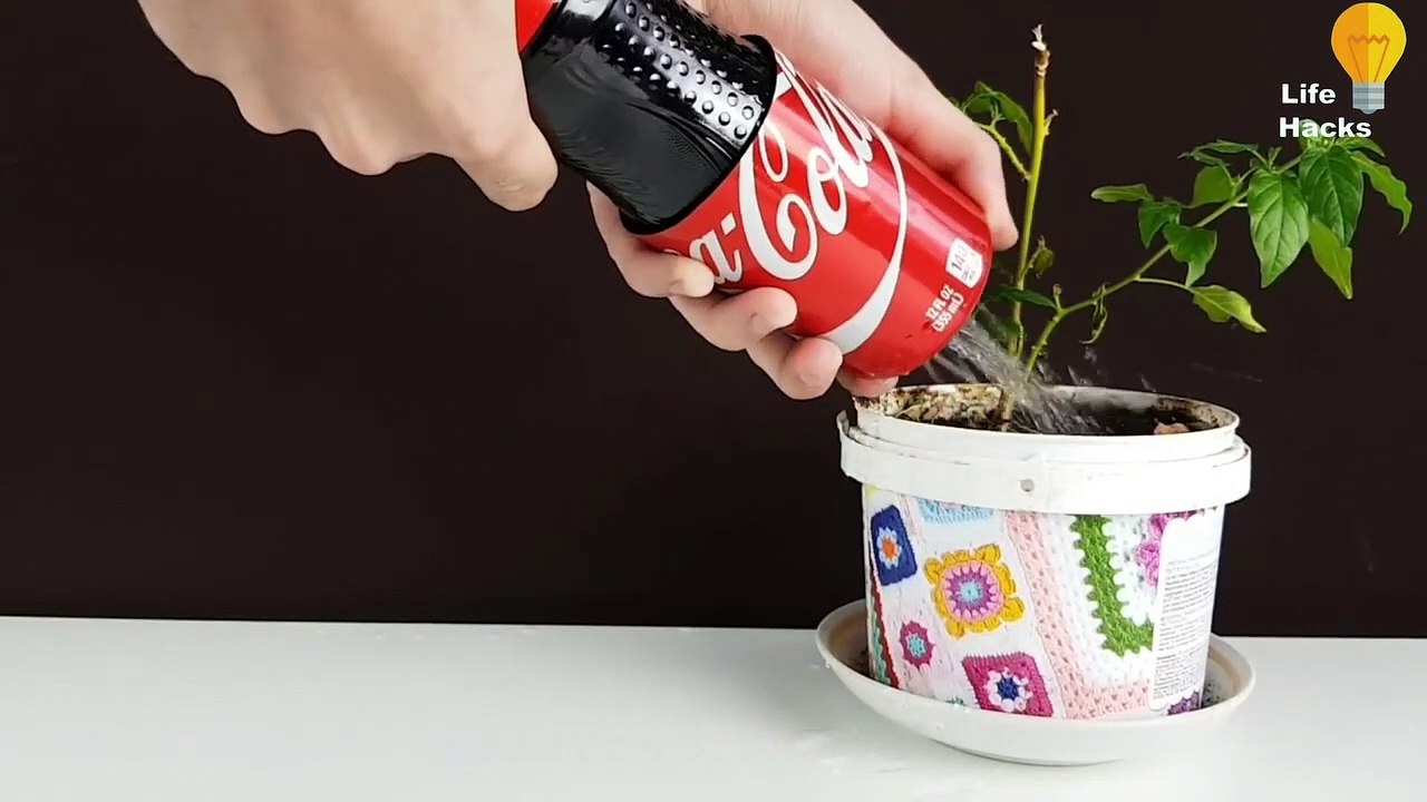 ᐈ 10 Things You Didn't Know ➜ 5 Minutes Ago【LIFE HACKS】#eXtreXperience™ ☎️