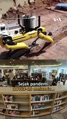 Kekurangan Tenaga Kerja,Singapura Investasi Pada Tenaga Kerja Robot