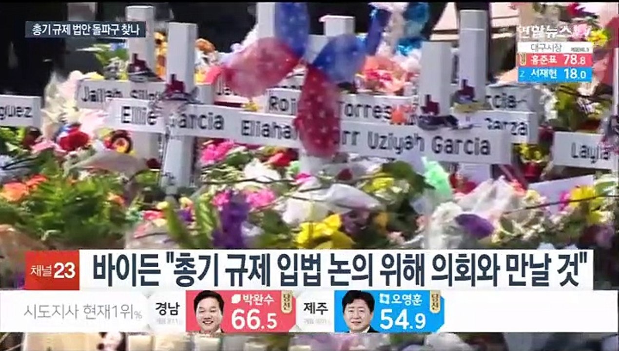 의회와 만나겠다는 바이든…총기 규제 법안 돌파구 찾나