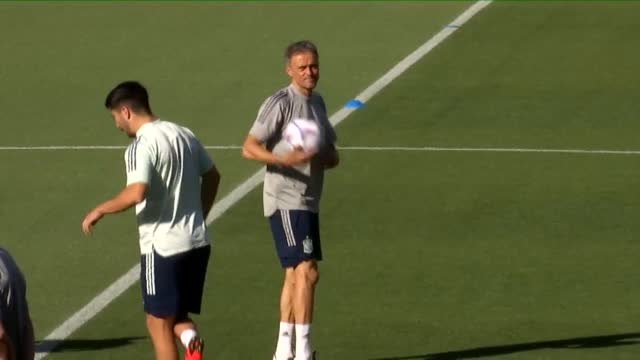 La selección prueba el césped del Benito Villamarín